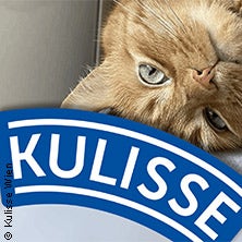 Die Katze im Sack – Kabarett-Überraschungsabend in Wien