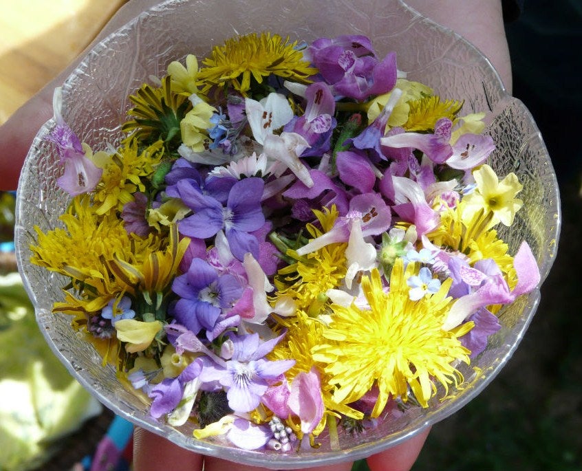Kräuterführung "Magie und Heilkraft der Sommerkräuter zum 15. August, Großer Frauentag"