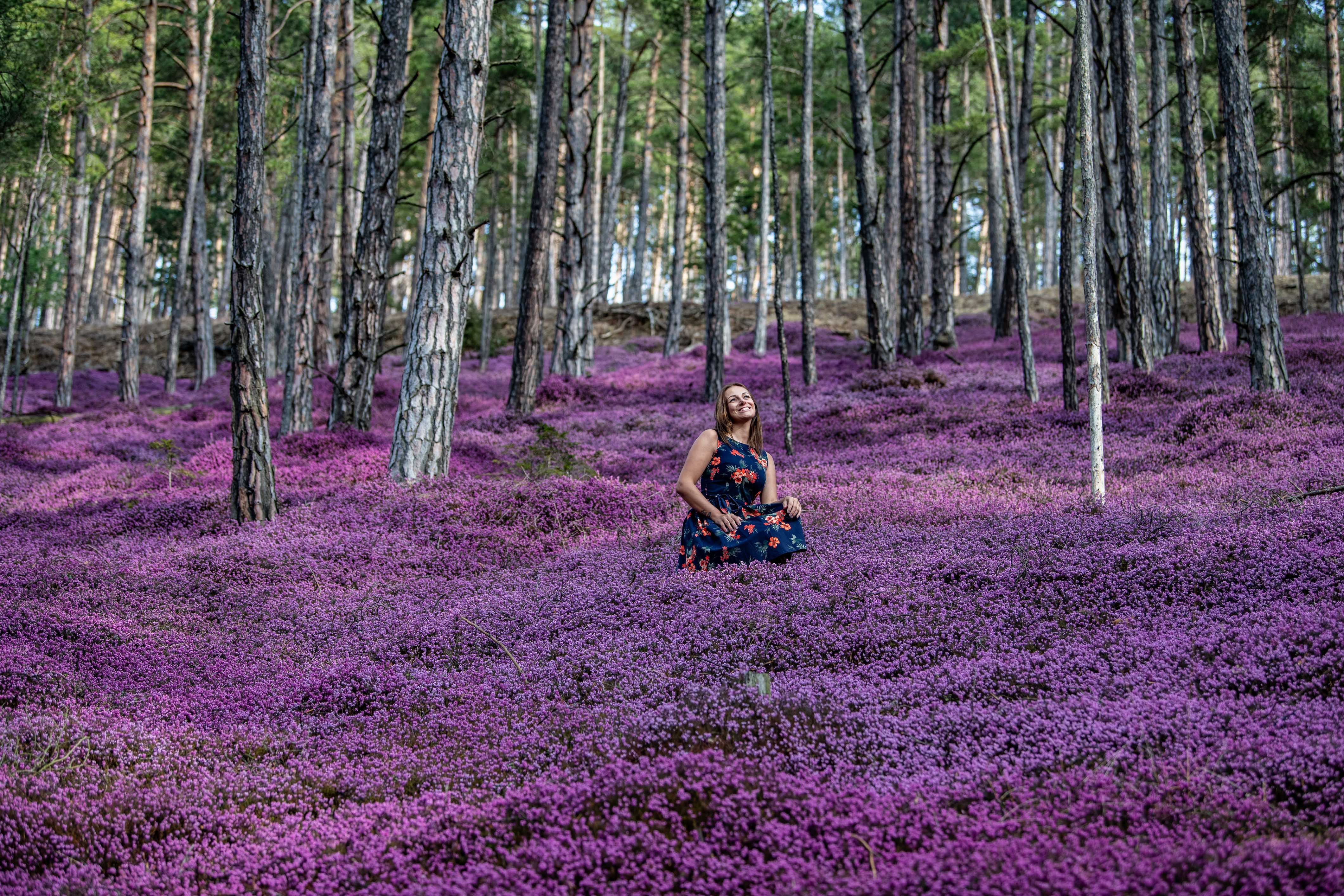 Erikabaden am Pinkenkogel
