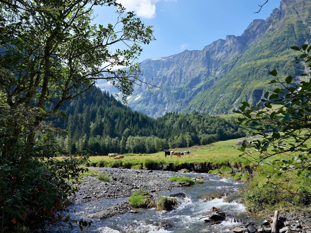 Tagesausflug – Mittersill/Felbertal/Hintersee