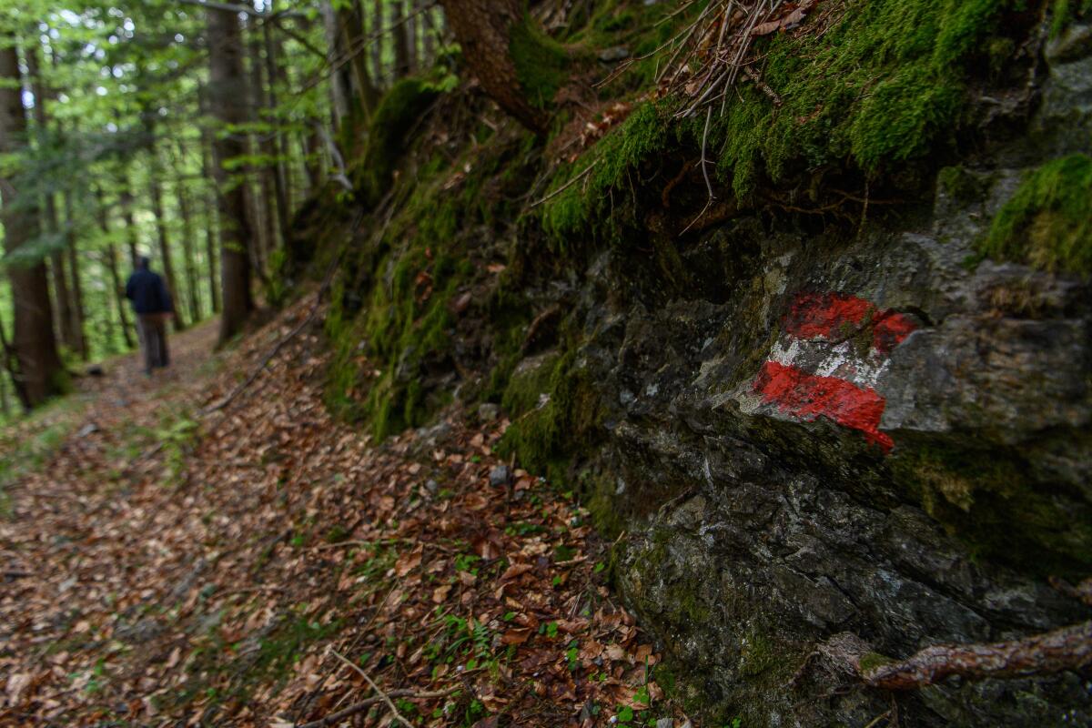 ÖAV Donnerstagstour – Wanderung in Mariazell