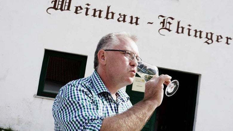 Weinherbst im Weingut Ebinger
