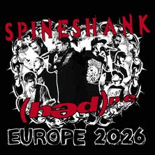 Spineshank + Hed P.E in der Szene Wien