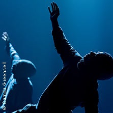 Botis Seva . Far From The Norm – Tanzperformance in St. Pölten