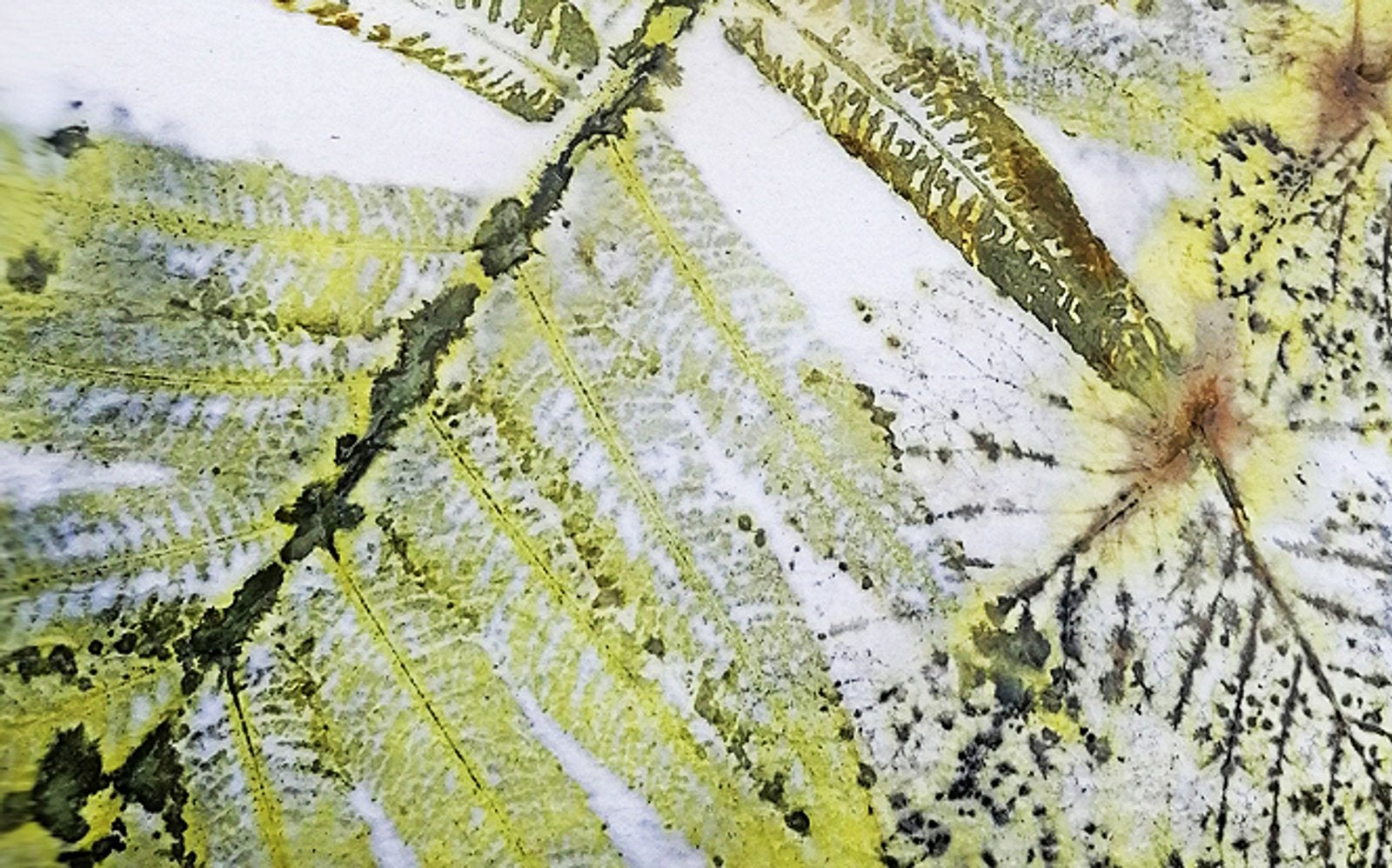 Ecoprint-Workshop im Atelier Filz & Freude