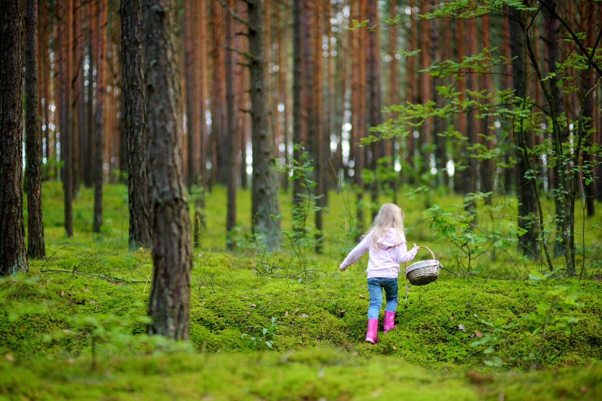 Vital-Pass Kinder & Jugend: Dem Abenteuer auf der Spur