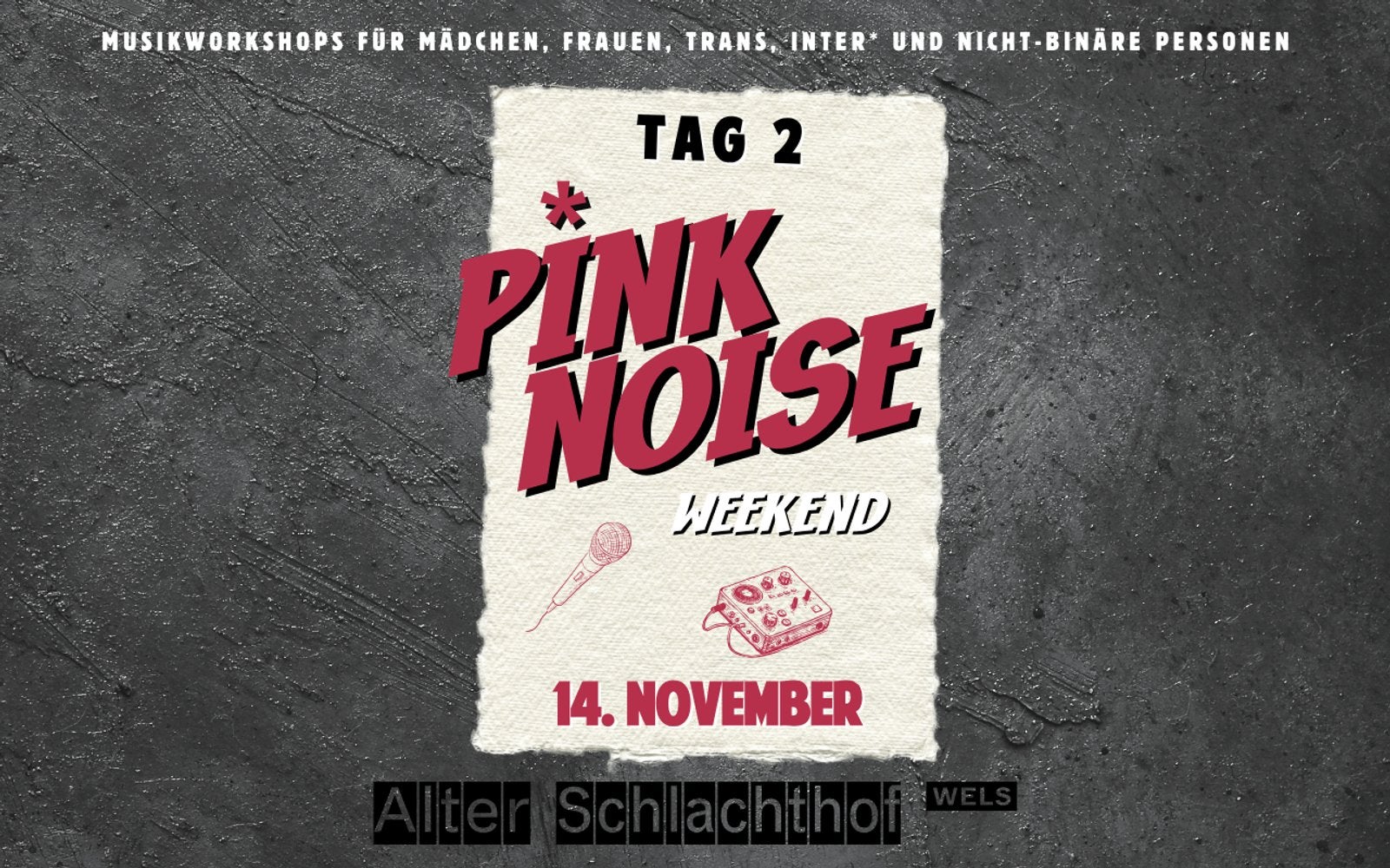 Pink Noise Weekend OÖ im Alten Schlachthof Wels