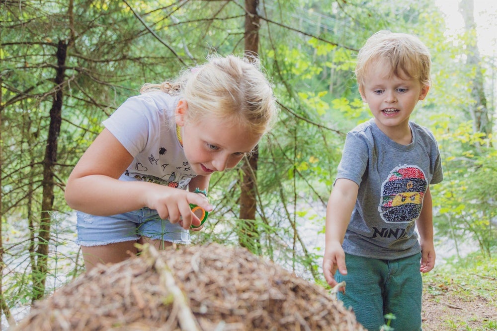 Kinderspiel - Wald Entdeckertour