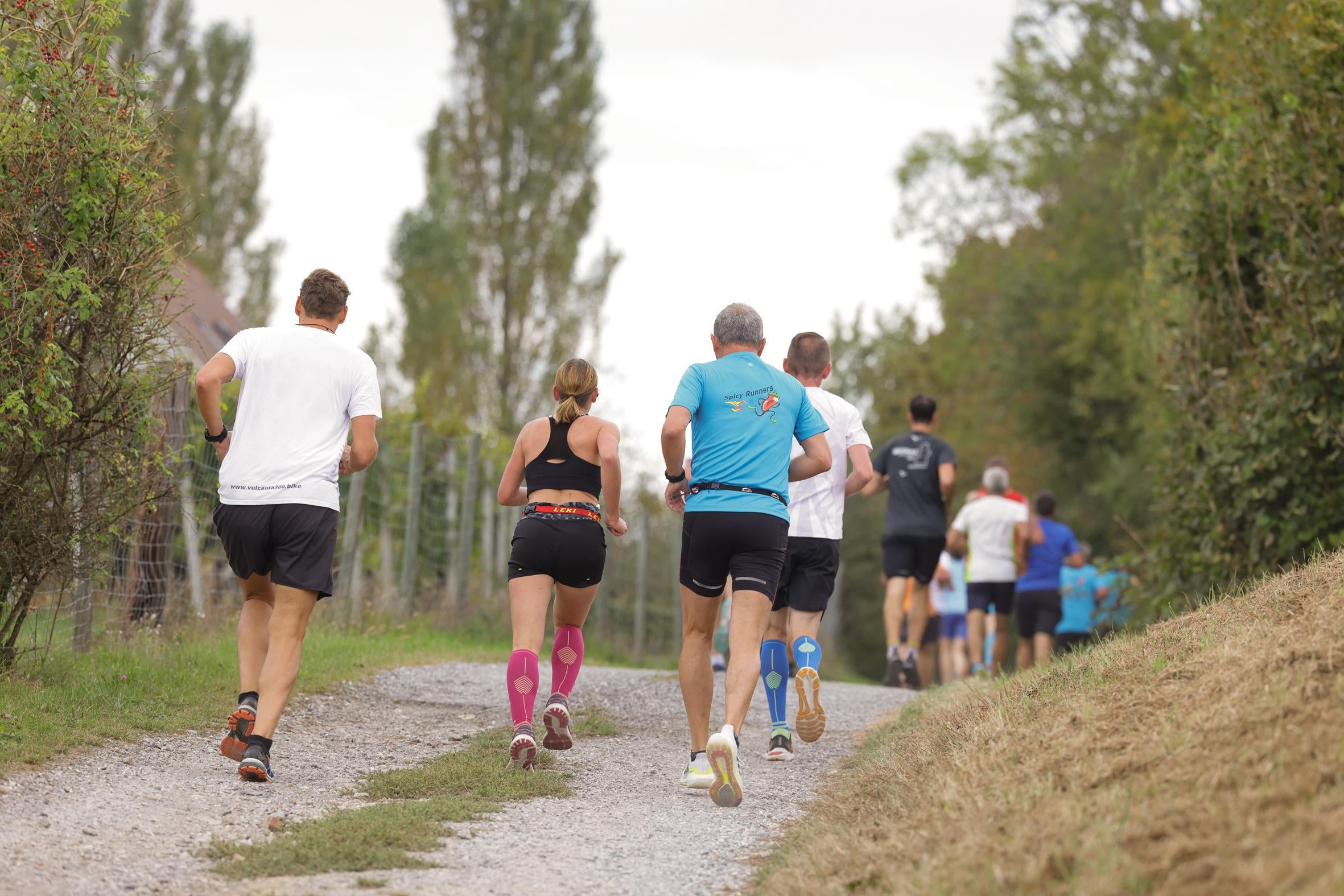 Buschenschanklauf & Genusswanderung in Bad Loipersdorf