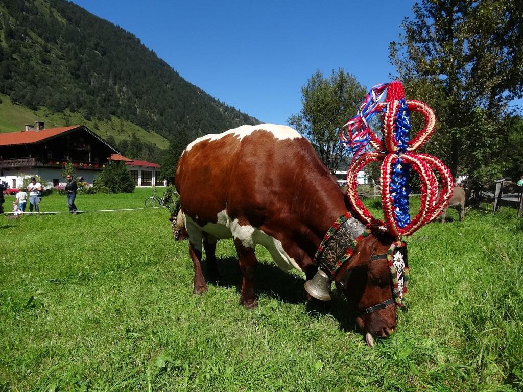 Almabtriebsfest
