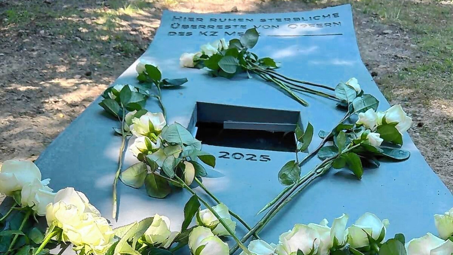 Der „Berufsverbrecher“ Kurt Zalud und die geheimen Fotos aus dem KZ Melk