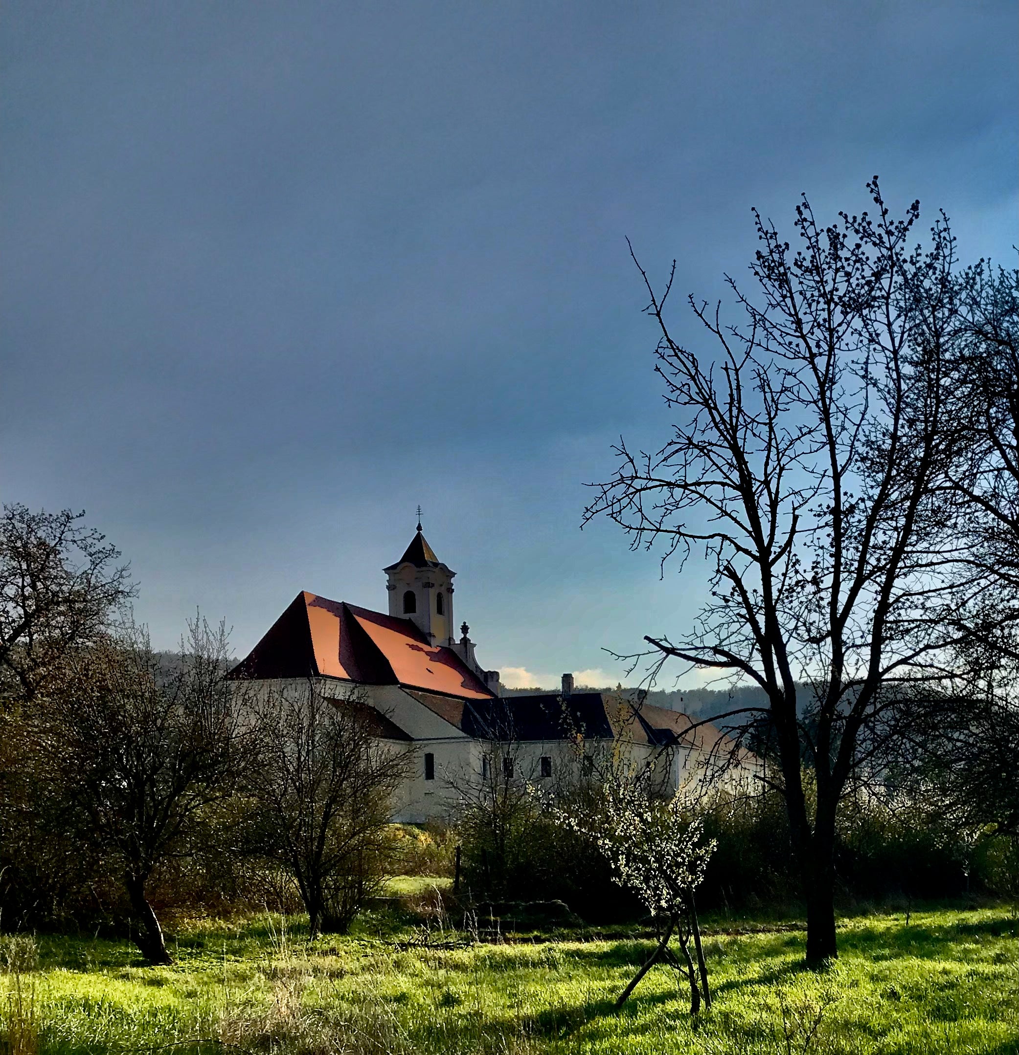 Zisterzienserkloster Marienberg