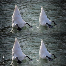 Eine Ballettoper