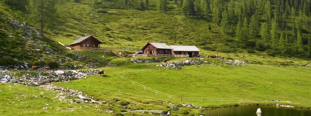 Bauernjause bei der Steinkarlalm