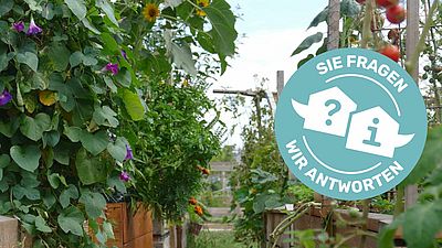 GB*Wohntreff: Garteln in der Stadt in Wien