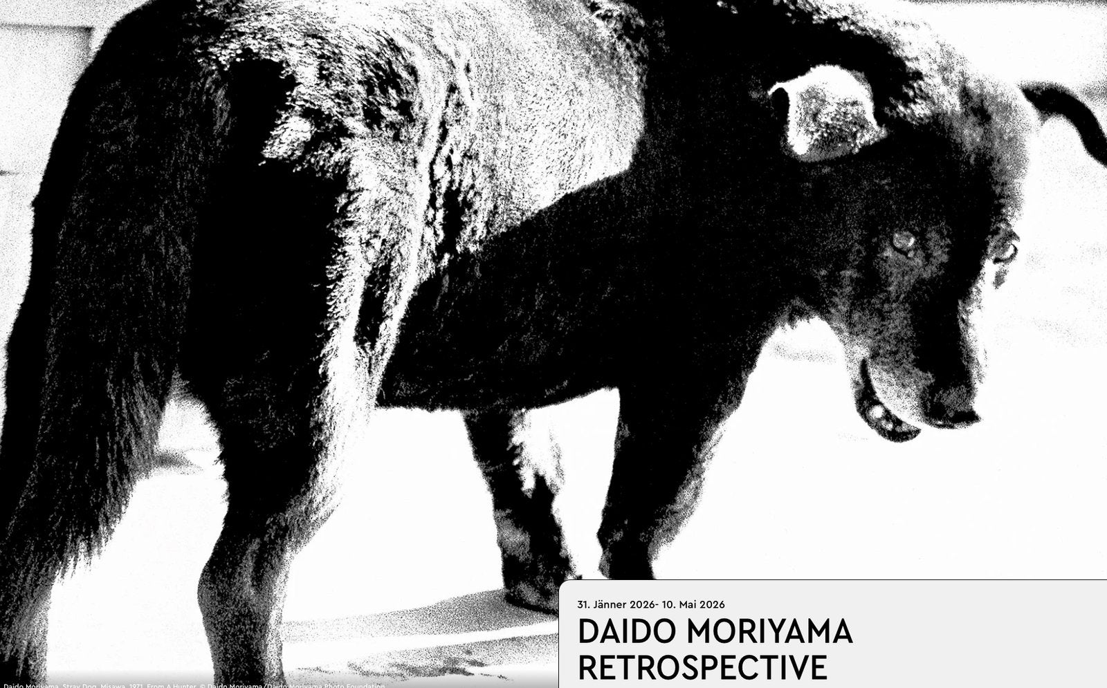 Im FOTO ARSENAL mit FELIX HOFFMANN :: 14. April 2026