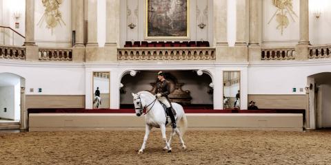 Lipizzaner-Vorführungen in der Spanischen Hofreitschule Wien