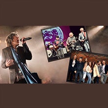 20 Jahre The Stonez – Jubiläumsshow im Orpheum Wien