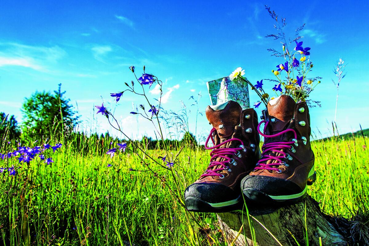 Aktiv-Kneipp-Gesund-Wandern