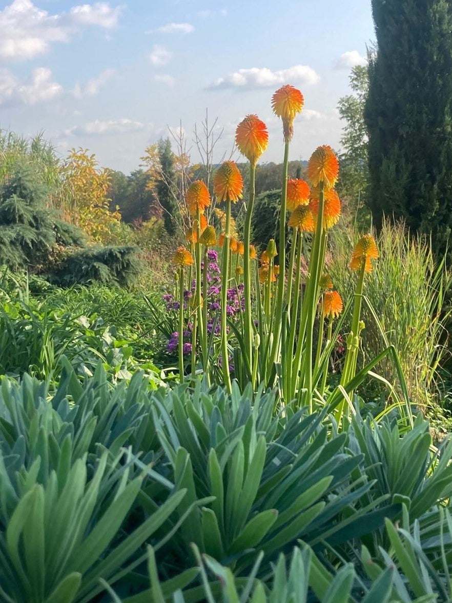 Philemons-Garten