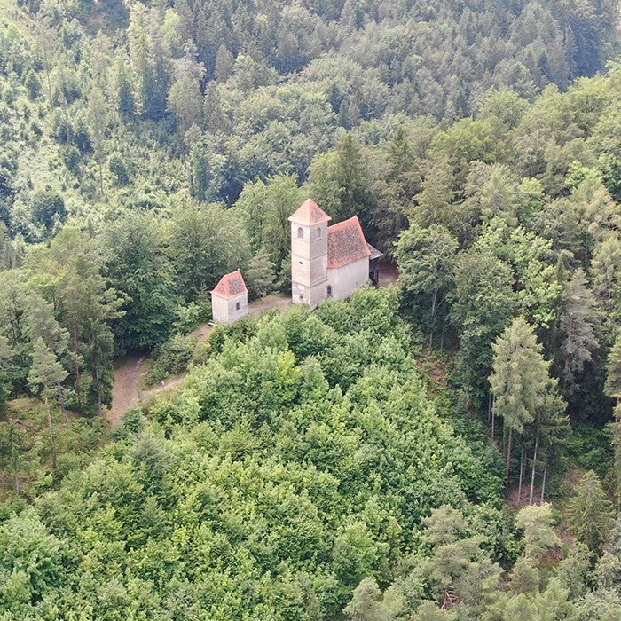 Der (Reiner) Ulrichsberg