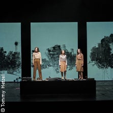 Die verlorene Ehre der Katharina Blum - Burgtheater Wien