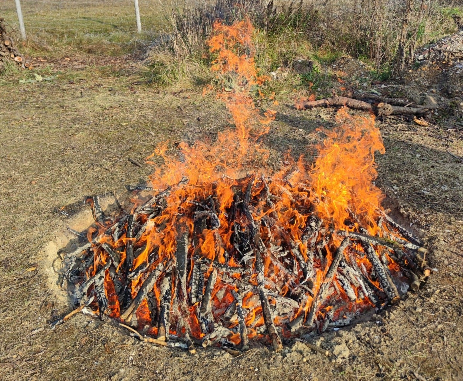 Terra Preta – Workshop