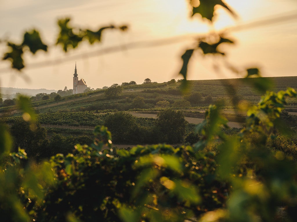 Wandertag Poysdorf – Wanderung in der Gstetten