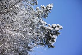 Winter Opening Tannheimer Tal - Hotel Lumberger Hof