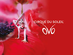 Cirque du Soleil - OVO
