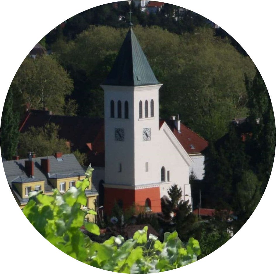 Benefizkonzert Johanna Beisteiner