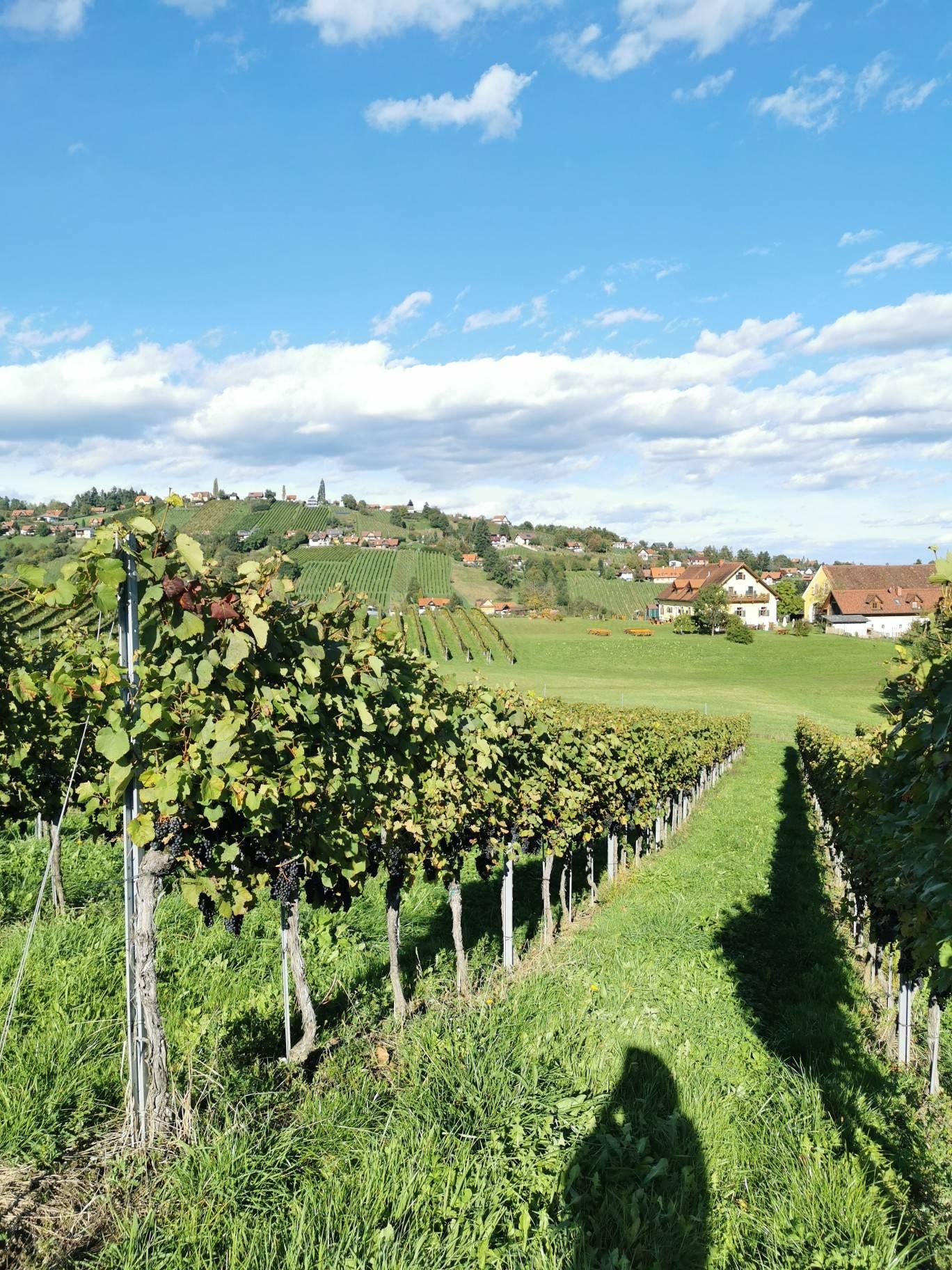 Junkerwanderung in St. Stefan/Stainz