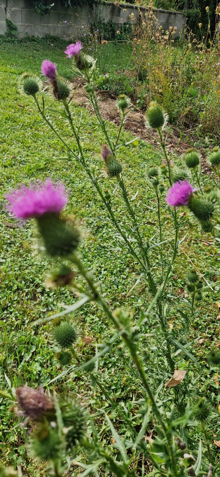 Kinderprogramm und Labestation