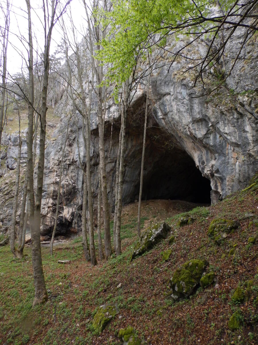 Drachenhöhlenführung