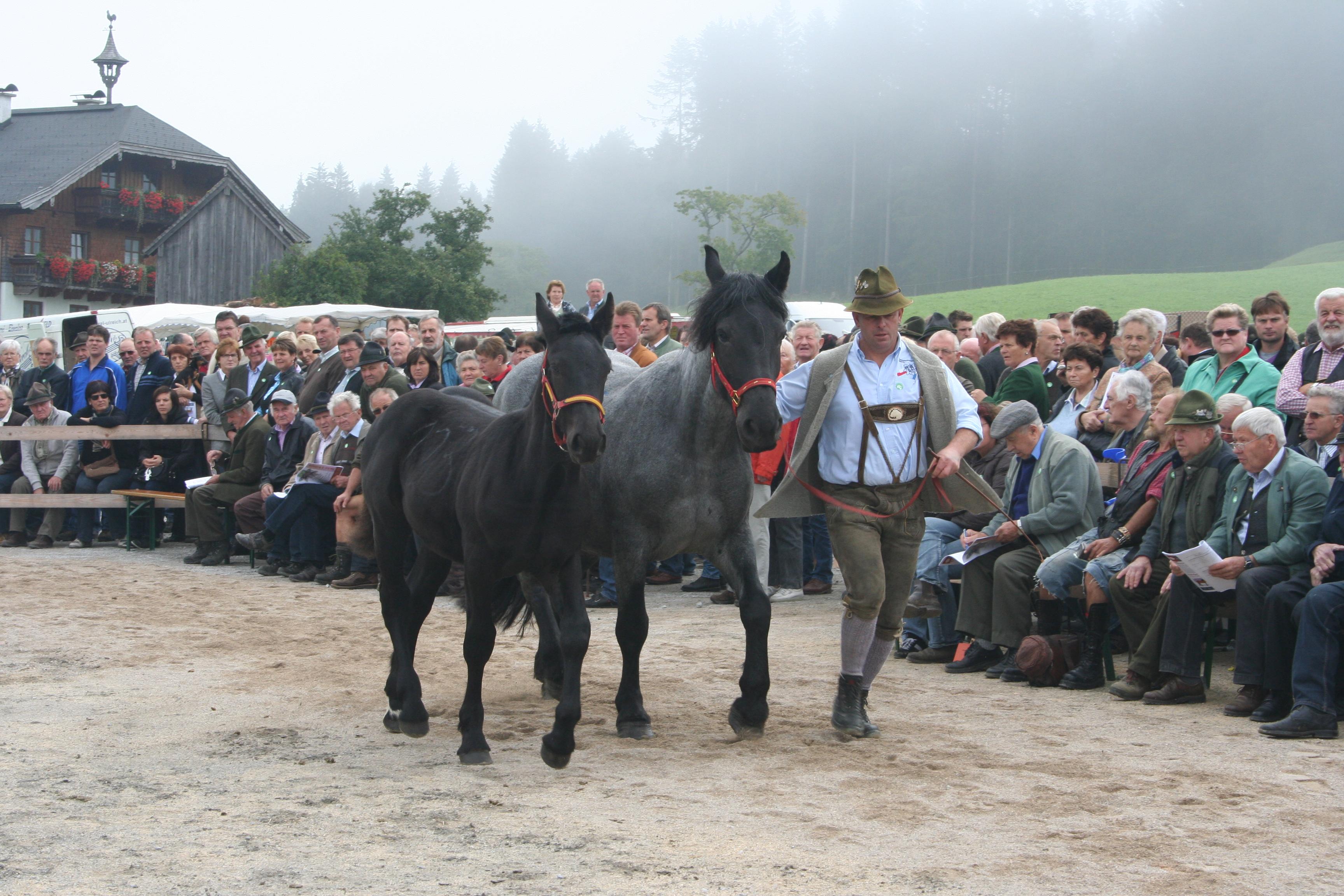 Abtenauer Rösslmarkt