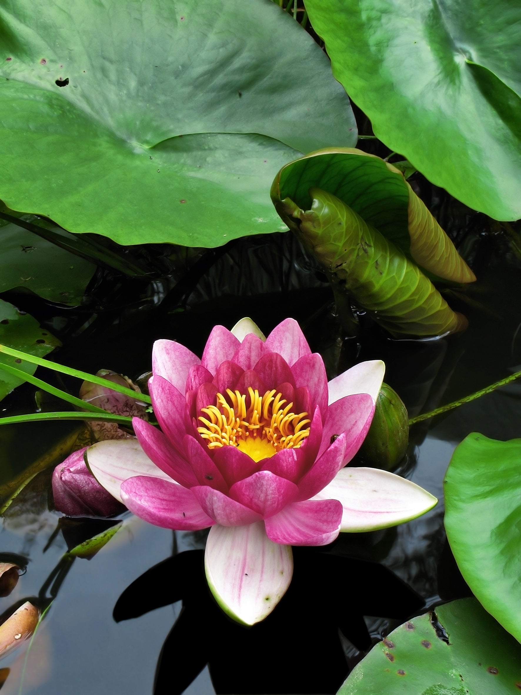 Übungen zur Achtsamkeit – Meditation in Wien