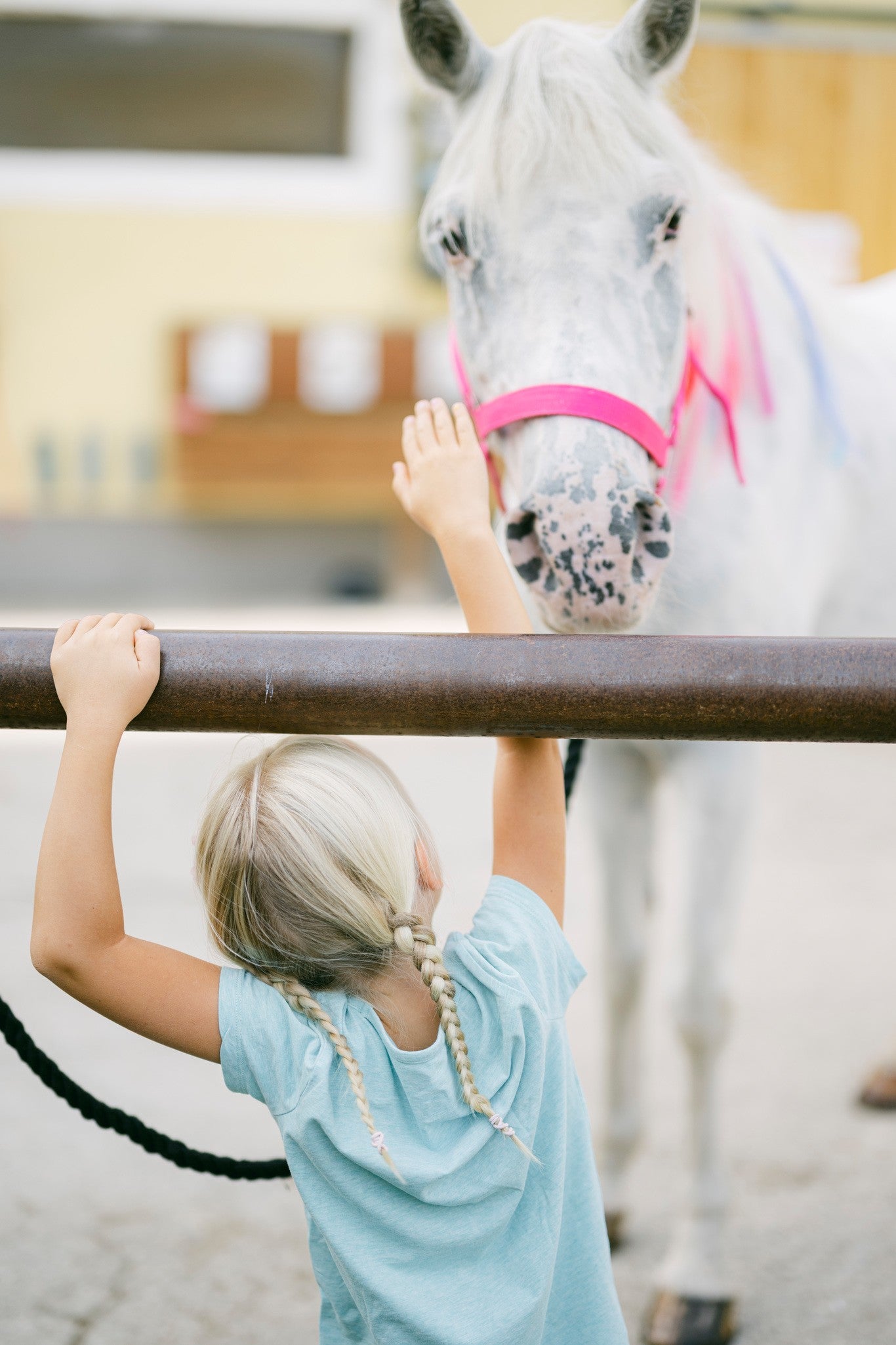 Horse Event in Brandstatt – Reitverein Waldzell