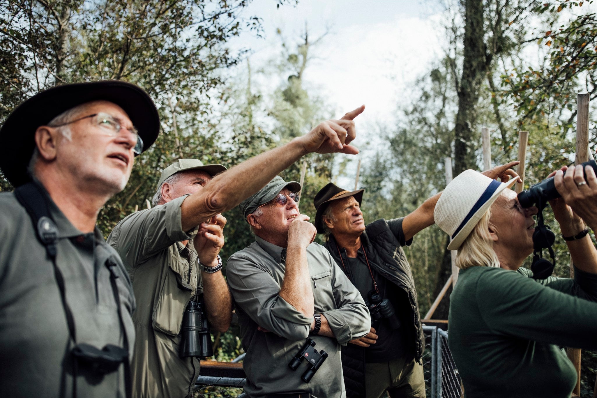 Auen- und Vogel-Wanderung