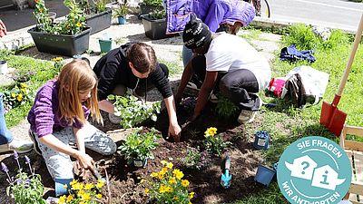 GB*Wohntreff „Zuhause im Grätzl"
Summ und Brumm im Garten - Artenvielfalt in der Stadt fördern