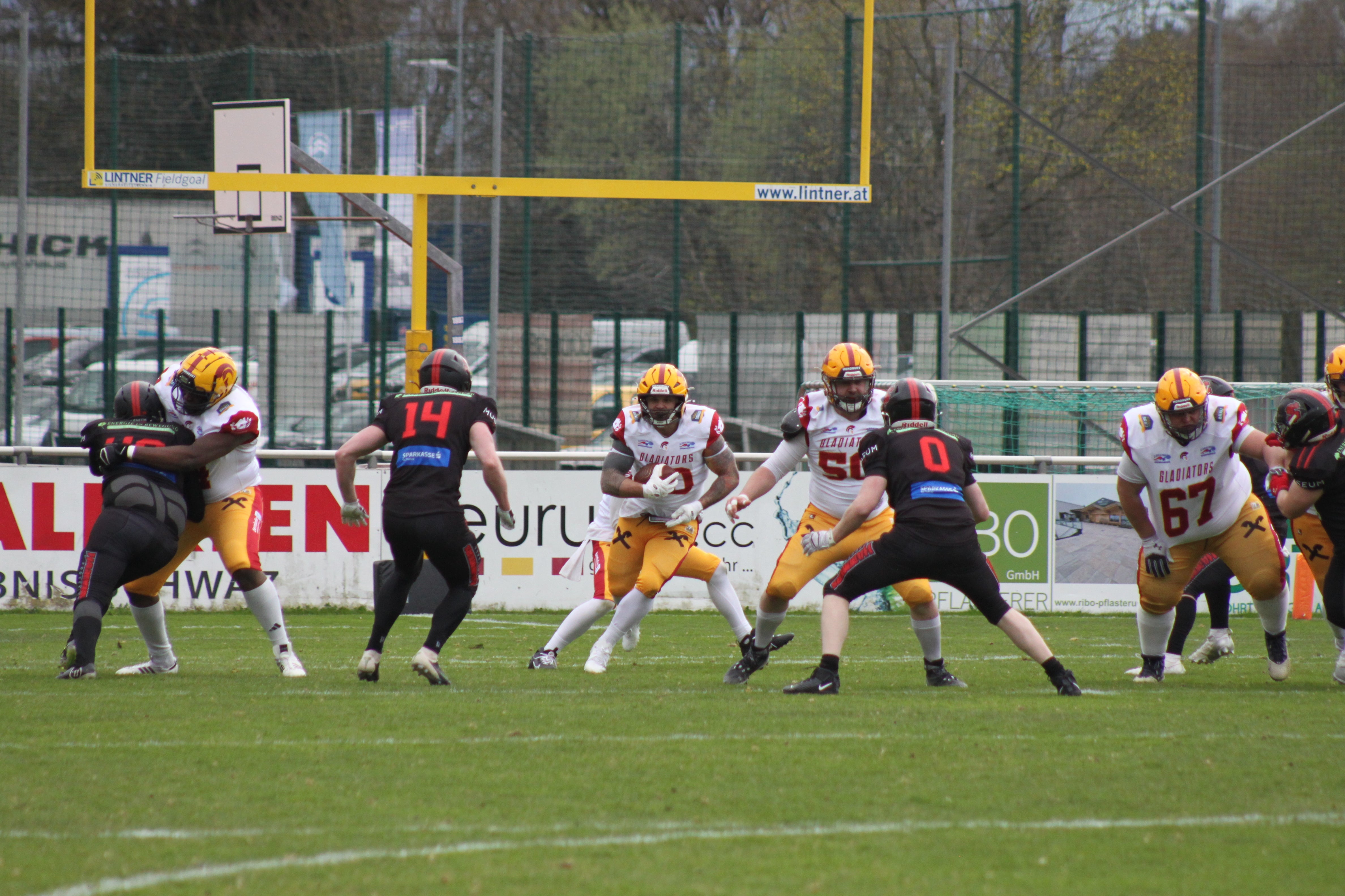 Ried Gladiators – Schwaz Hammers