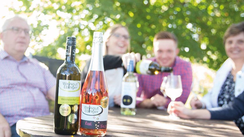 Weinfrühling im Weingut Ebinger
