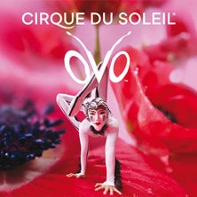 Cirque du Soleil OVO