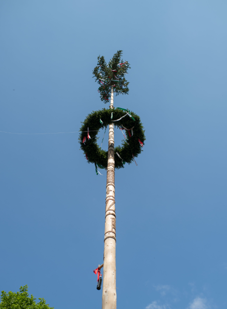 Maibaumaufstellen beim Franzbauer