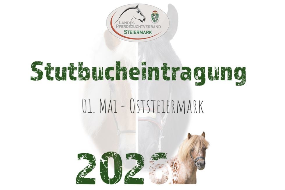 Stutbucheintragung Oststeiermark
