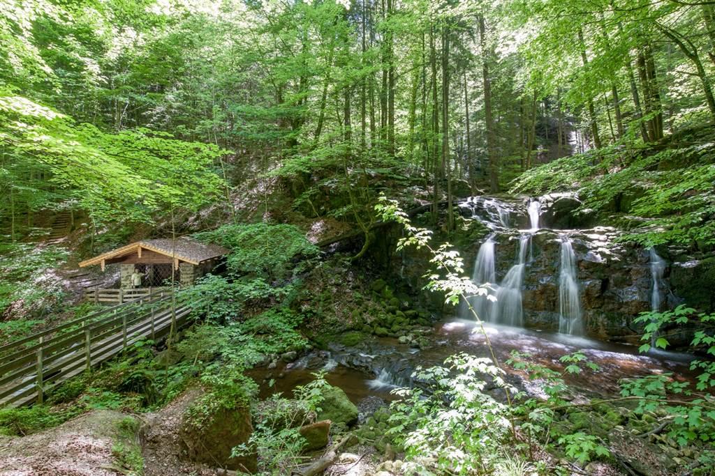 Wildromantische Sagenwanderung