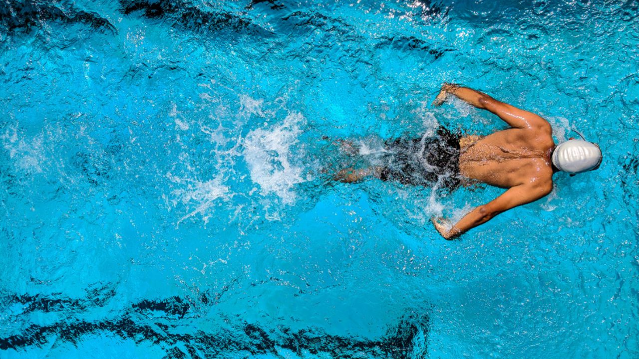 53. Internationales Swimcity Wels Meeting
