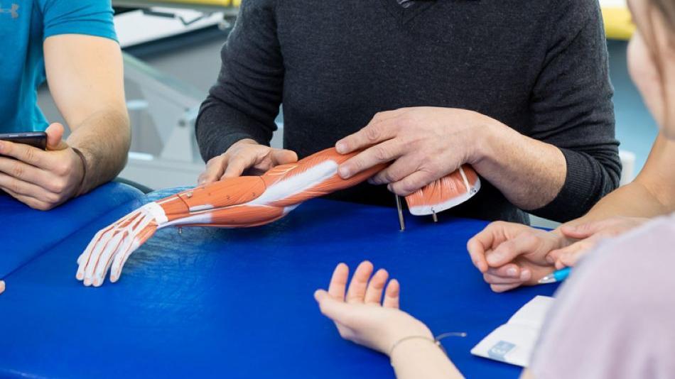 [LNF26] In welchem Zusammenhang steht die Muskelmasse mit der Handgriffkraft?