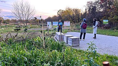 Perlen der Donaustadt 
Klimafitte Donaustadt: Landwirtschaft in der Stadt