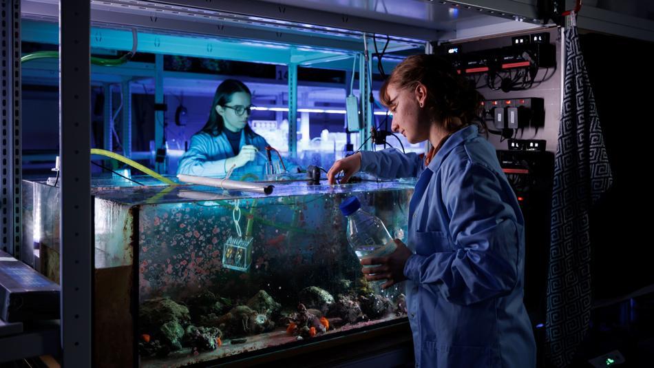 [LNF26] Tour: Meeresforschung ohne Meer? Willkommen im Aqualab!