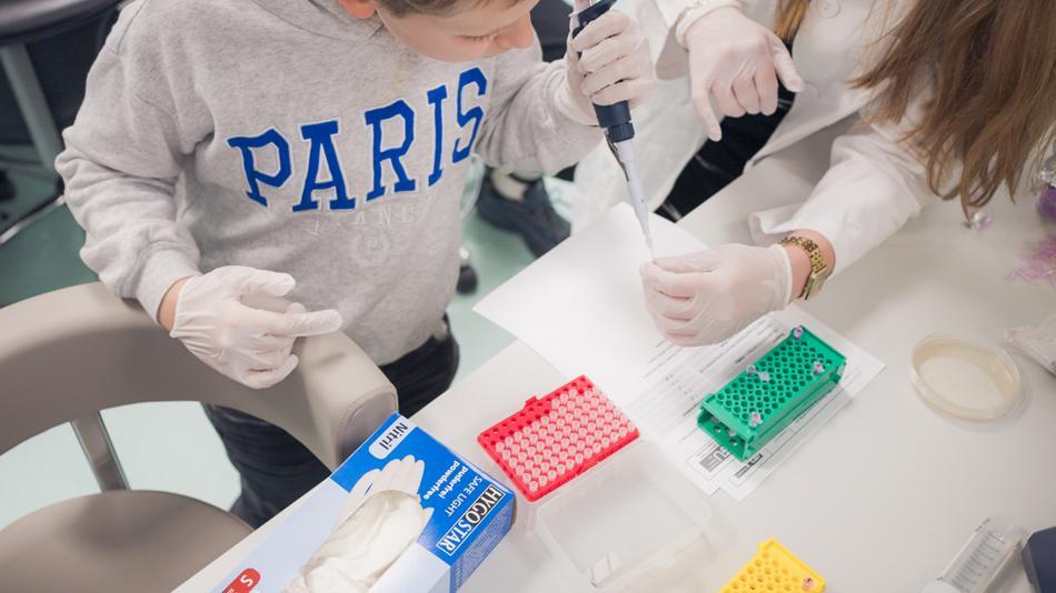 [LNF26] Enzyme in Aktion – Was sind Enzyme und wie sind sie in unserem Körper aktiv?